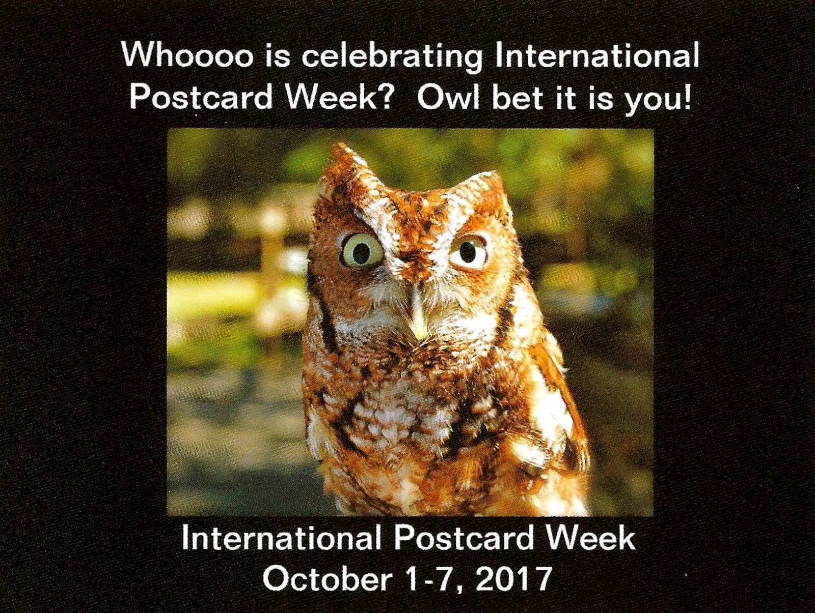 International Postcard Week 2017