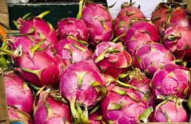 Peluang Usaha Budidaya Buah Naga Untuk Bisnis Di Rumah Peluang Usaha Budidaya Buah Naga Untuk Bisnis Di Rumah