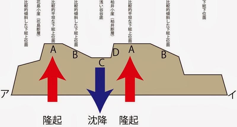 花見川流域を歩く HANAMIGAWA RYUIKI wo ARUKU: 下総上位面を褶曲変位地形として捉える
