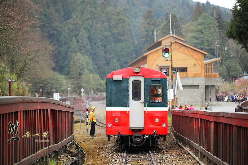 沼平車站|沼平公園櫻花季|嘉義阿里山國家森林遊樂區景點|阿里山櫻花季