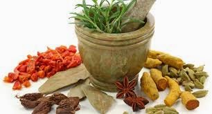 Obat Kencing Nanah Ampuh De Nature Obat Kencing Nanah Ampuh De Nature