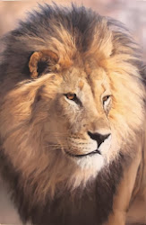 realistic hyper paintings watercolor michael aweosme wildlife chris buyers sharon collectors uae include russia corporate germany japan private australia france