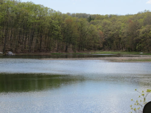 Oxbow Lake