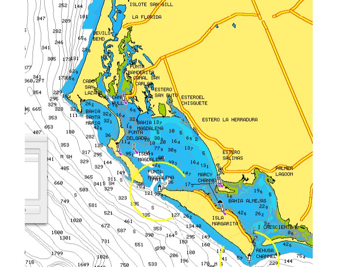 Arione: (Not) Whale Watching at Bahia Magdelena