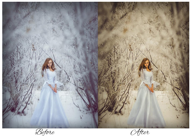 Free Download Best Lightroom Preset For Wedding kembali lagi bersama aku di katamastah Free Download Best Lightroom Preset For Wedding