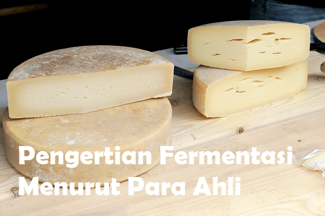 Pengertian Fermentasi Menurut Para Ahli Pengertian Fermentasi Menurut Para Ahli