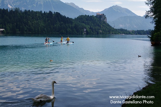 Lago di Bled Bled SUP
