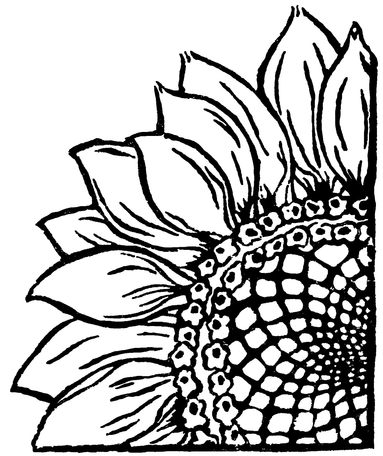 Woodle Doo: Sunflower Linocut