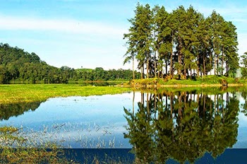 Patenggang Lake http://www.aseppetir1.com/