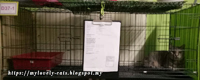 raya aidilfitri 2018 raya aidilfitri 2018