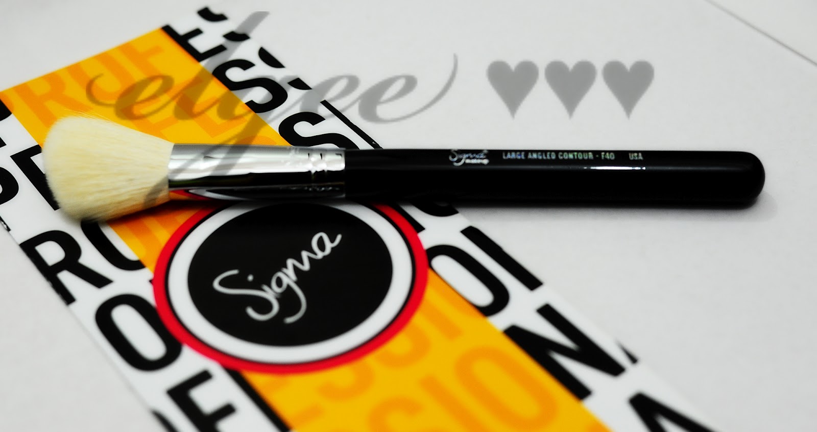 SIGMA Brush 12pc. Essential Kit