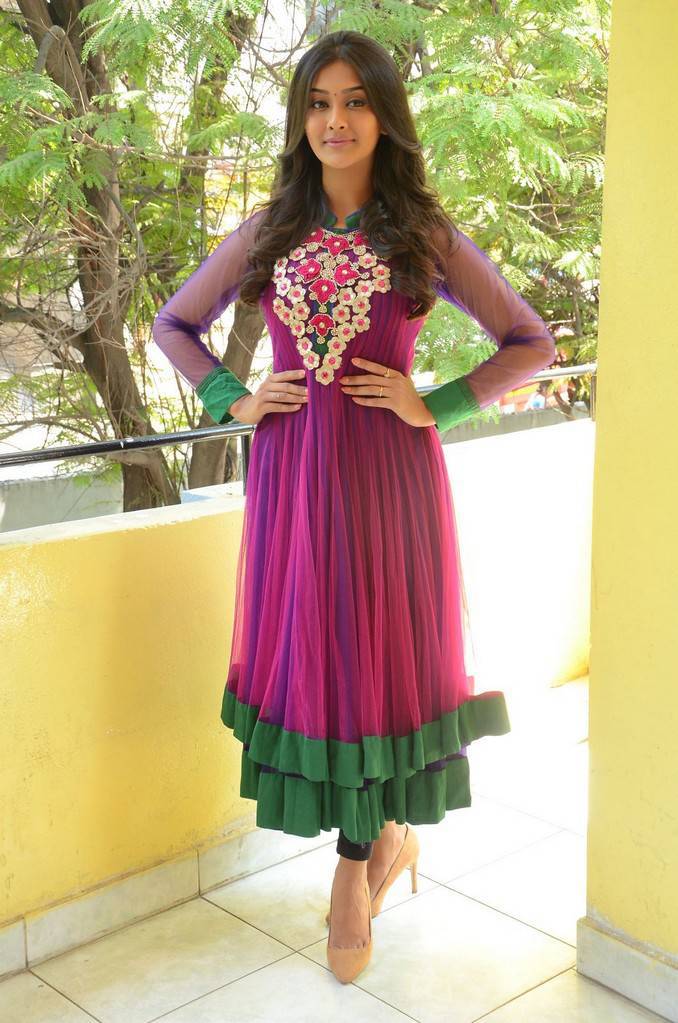 Pooja Jhaveri Stills In Maroon Dress At Film Success Meet