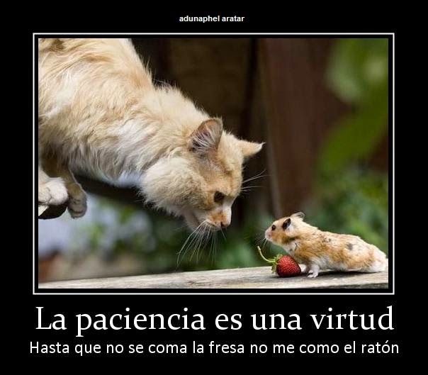 imagenes con frases para compartir imagenes