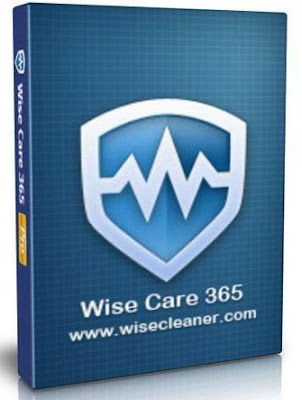wise cleaner 365 pro
