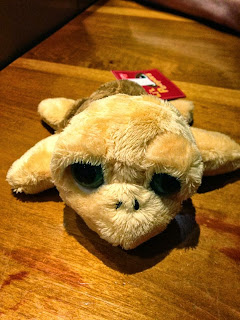 The yellow and brown cuddly turtle toy