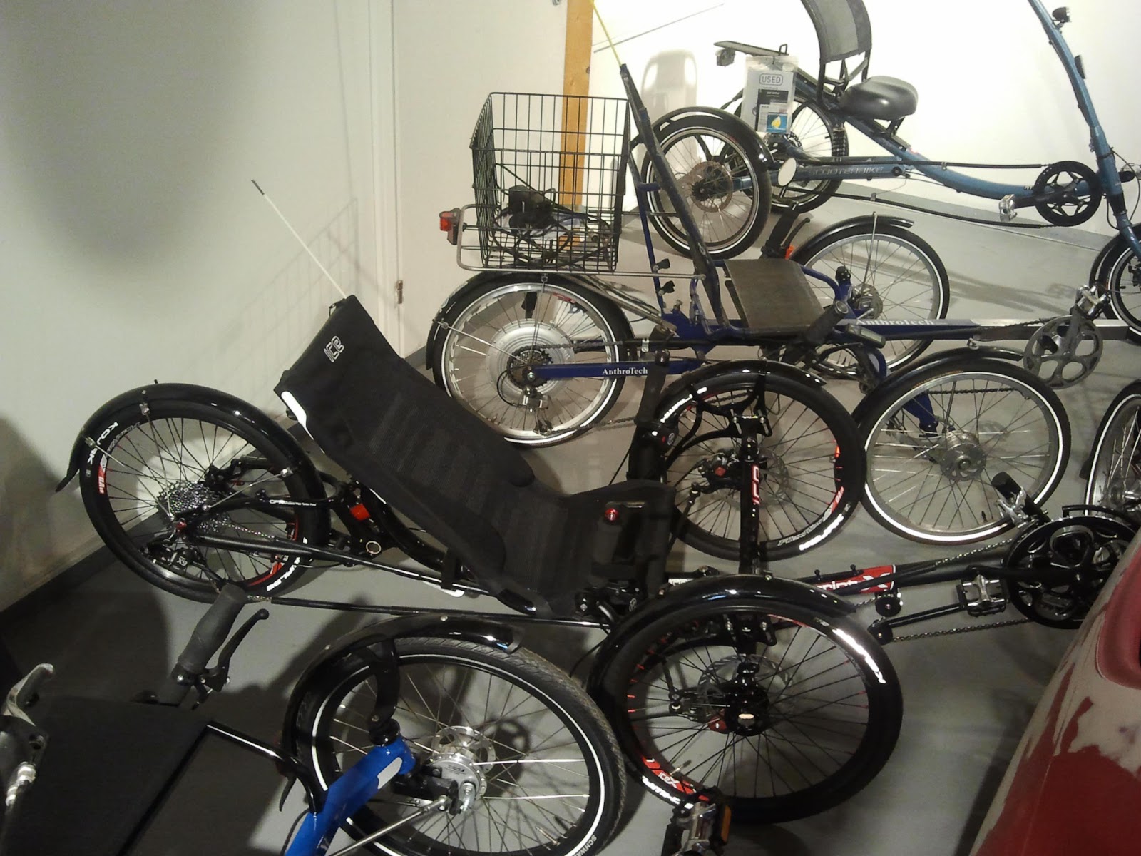 Radieschen Freiburg Radieschen Freiburg