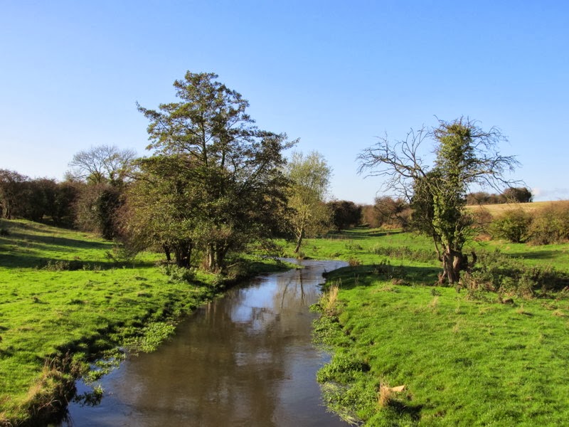 UK Wanderings The Carrs and Shirebrook Wood