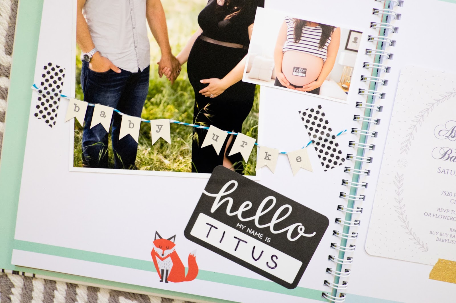 Domestic Fashionista Baby's First Year A Baby Book