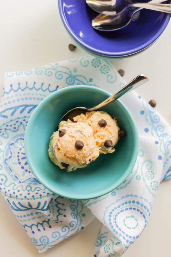 Peanut Butter Chocolate Chip Frozen Yogurt
