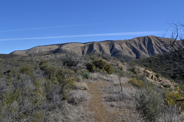 Bald Mountain
