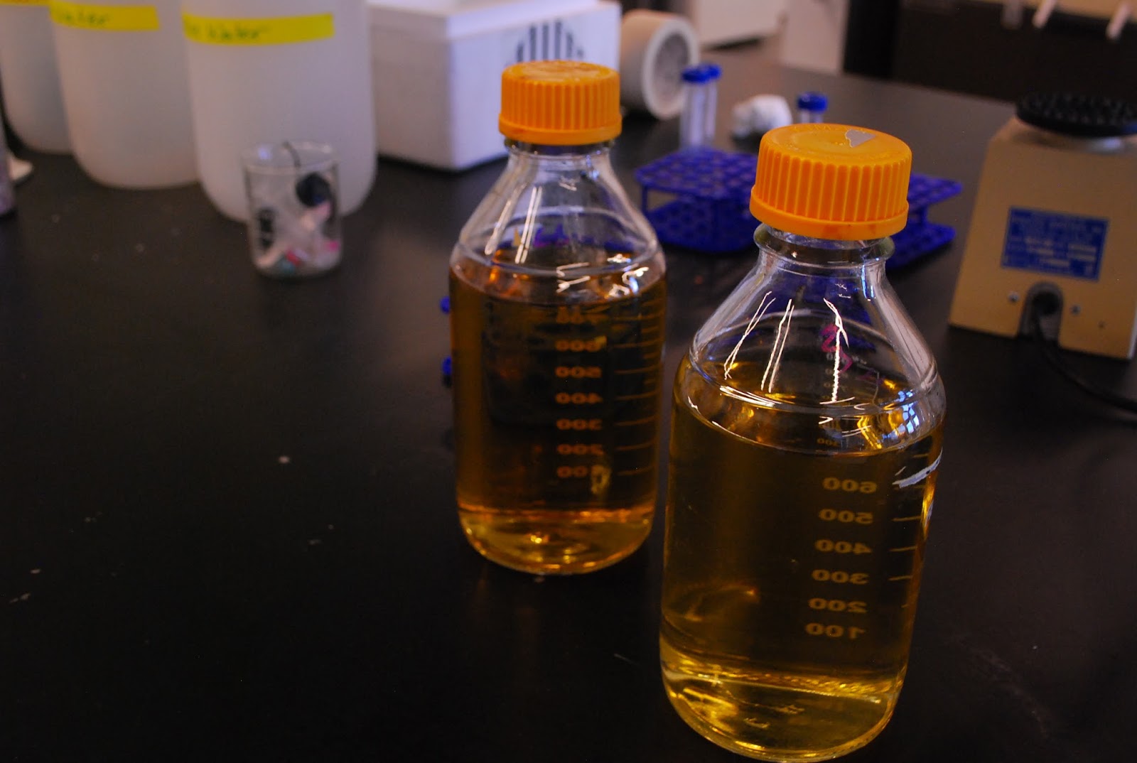 Bubbles and BiofilmsThe Effects of Common Dishwashing Liquids on human