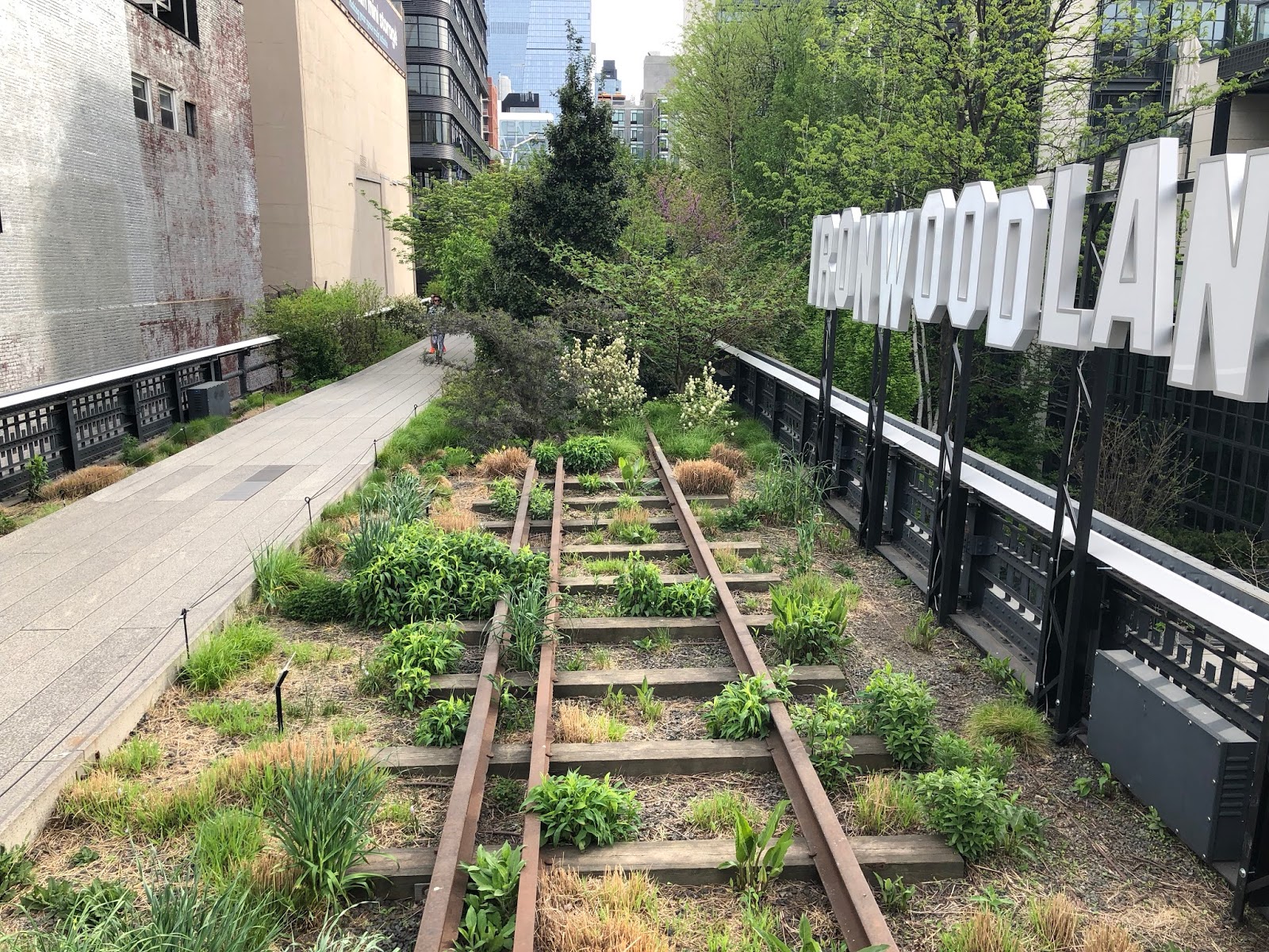 The High Line A New York City Linear Park
