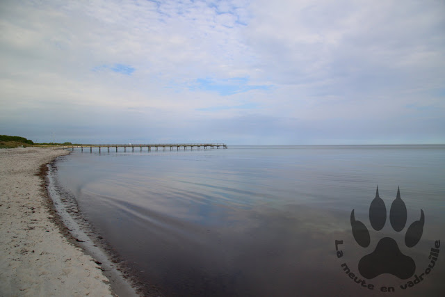 Suede-Scanie-Falsterbo-plage