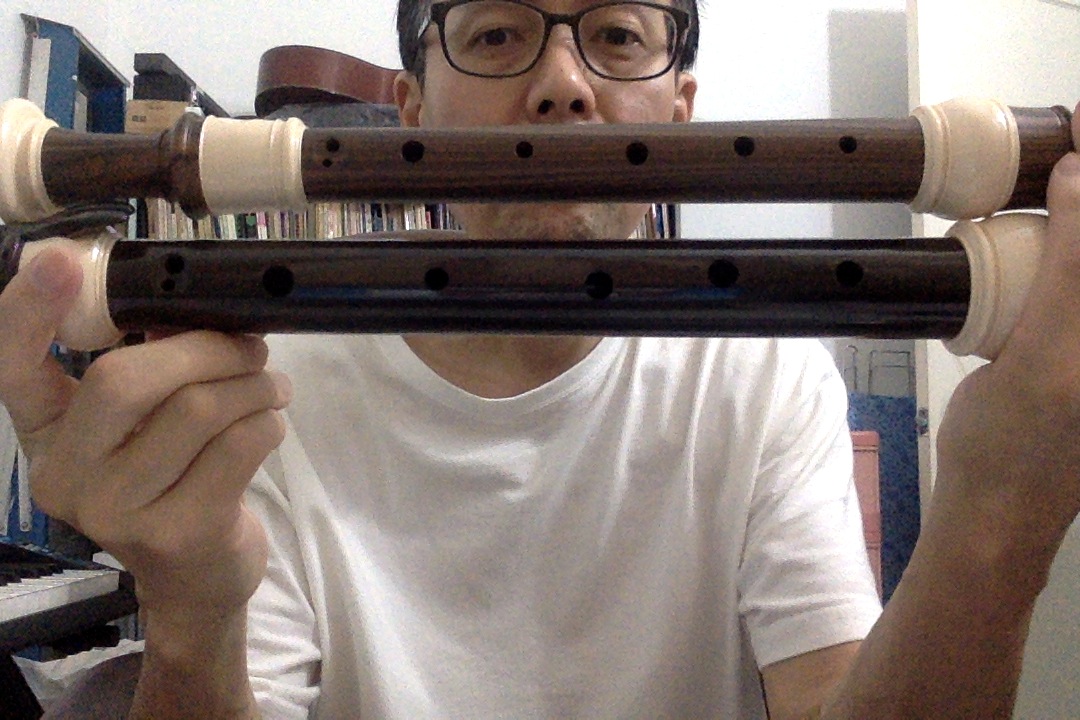 Comparing Recorders 9. Comparing alto vs tenor recorders Physical