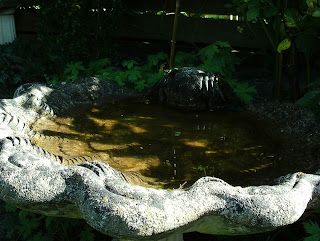 Bird bath holiday proof your garden Green Fingered Blog Bird bath holiday proof your garden Green Fingered Blog