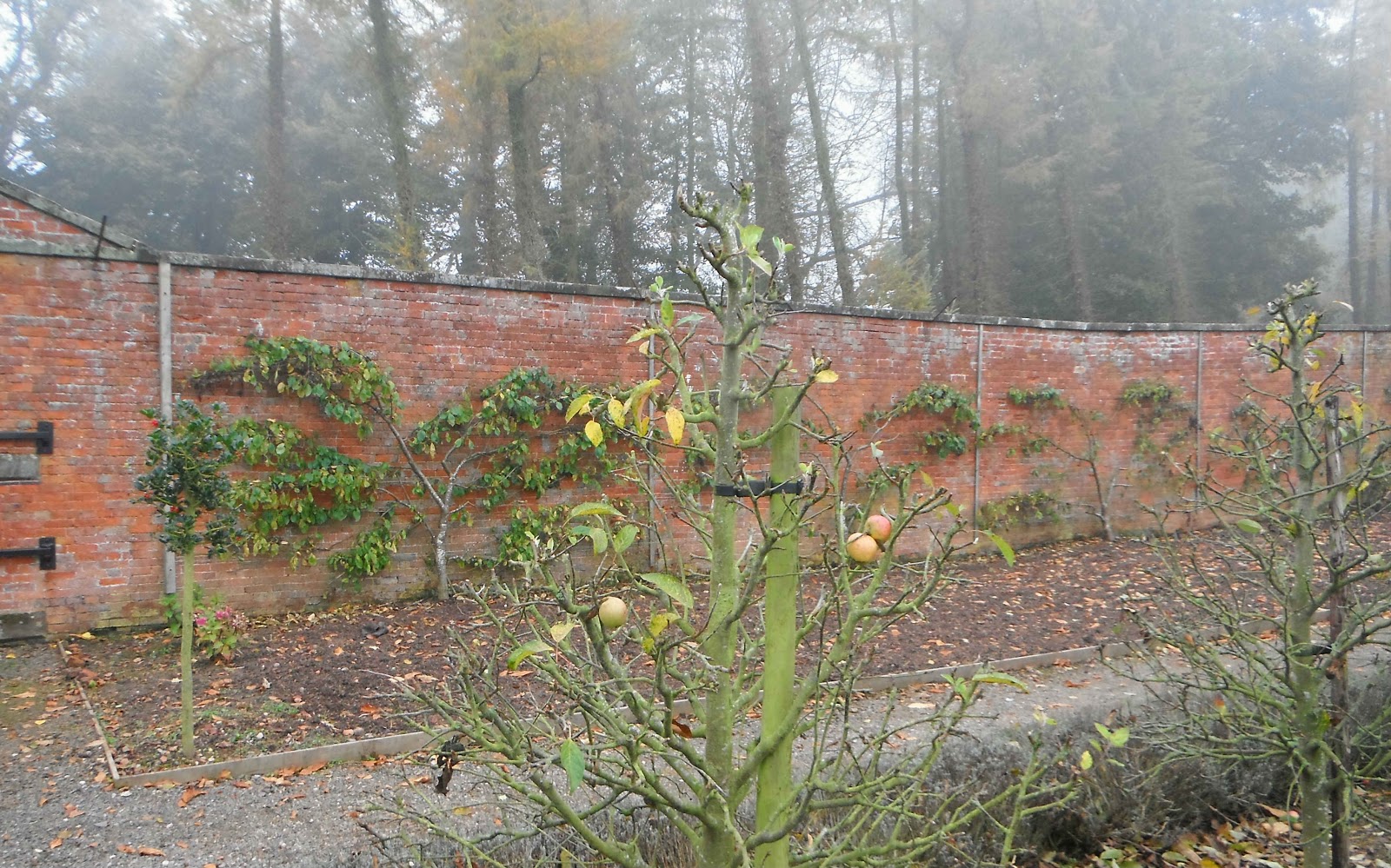 Walled Kitchen Garden Design Walled Kitchen Garden Design