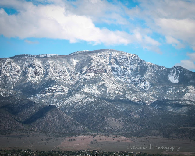 The Bees’ RV You Can Take a Girl Out of the Mountains