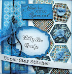 I'm Proud to be   a Super Star    Stitcher