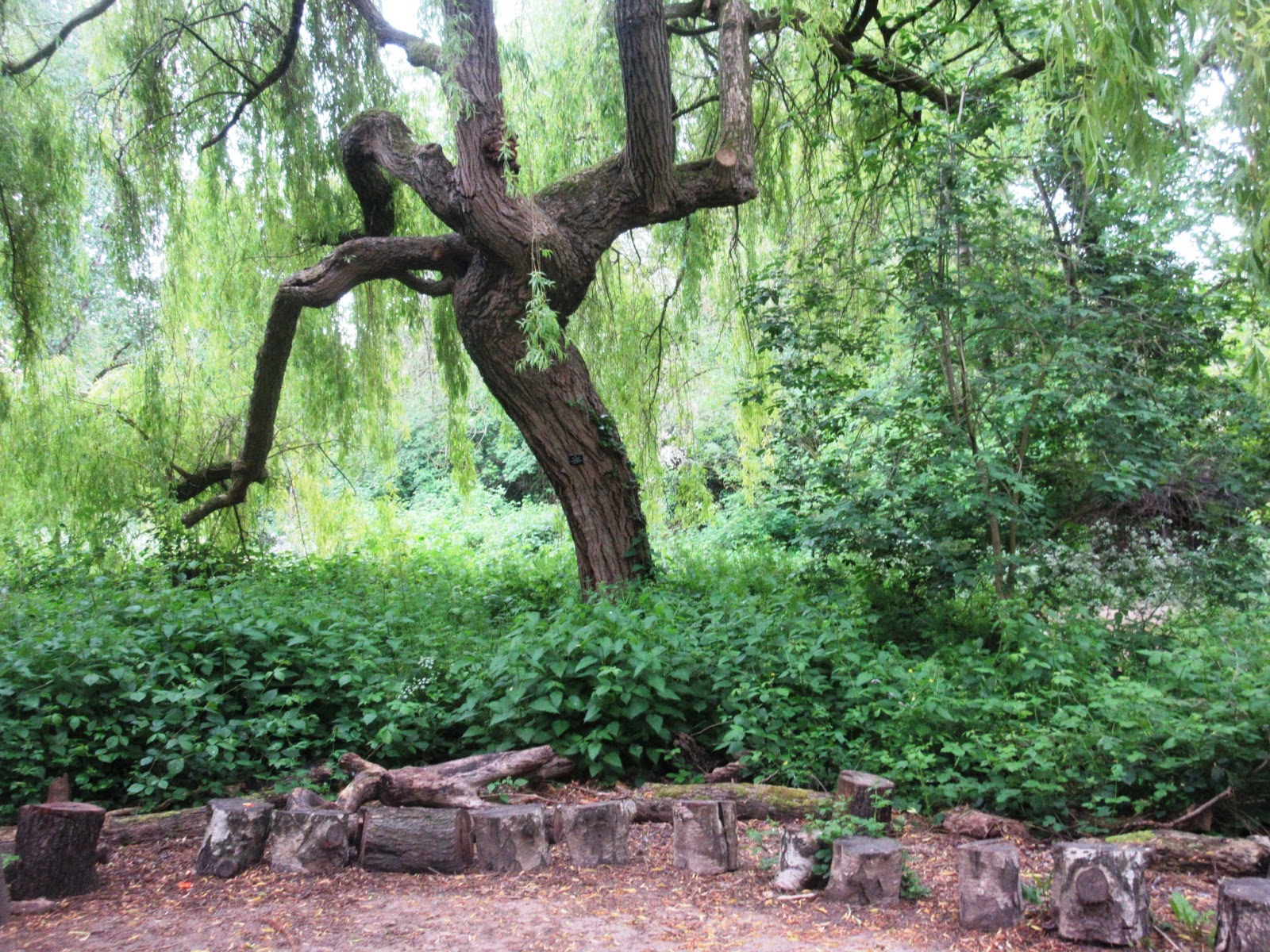 Liberal England The Attenborough Arboretum, Leicester