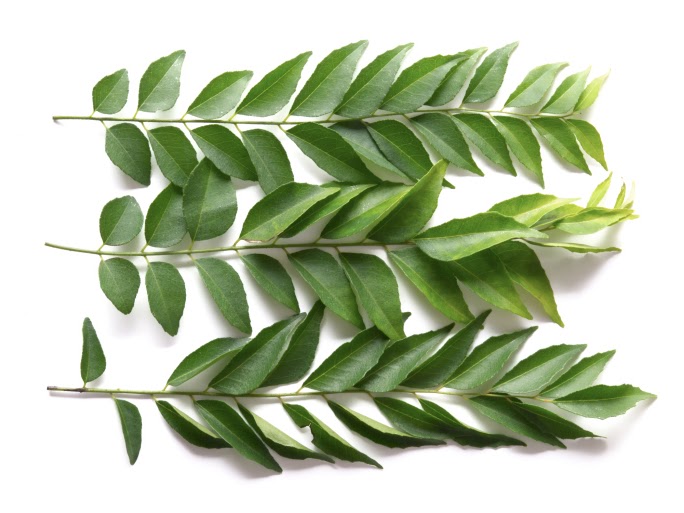 OUR NATURAL REMEDY Curry Leaves The Amazing Health Benefits