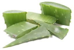 Aloe Ferox eficient in slabire - kozossegikartya.ro