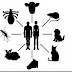 Do you know about Zoonosis ?