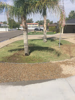 Phoenix real estate investing education Phoenix real estate investing education