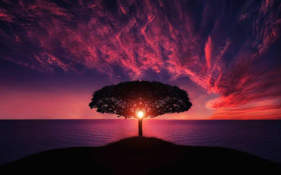 صور حب رومنسية