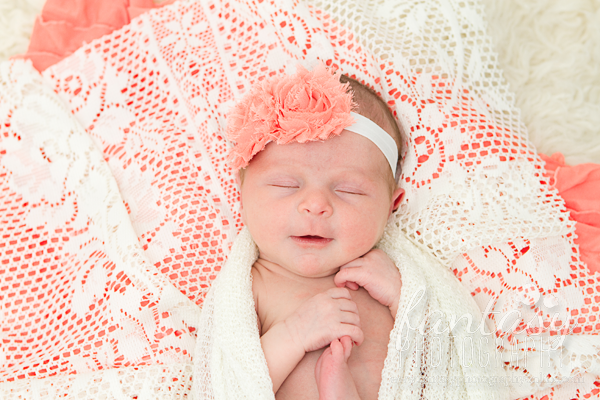 newborn photography in winston salem nc | triad newborn photographers newborn photography in winston salem nc | triad newborn photographers
