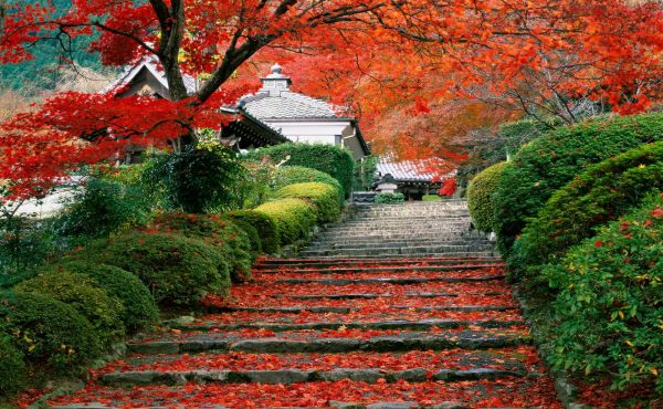 Natural Beauty: Beauty of Japan