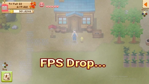 Foggy Weather in Harvest Moon: Light of Hope