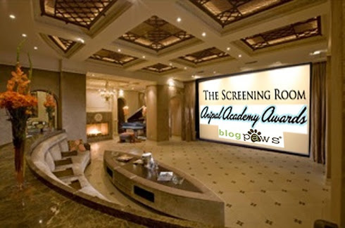 Photo & Video Screening Room: Click on image to view nominated photos & videos
