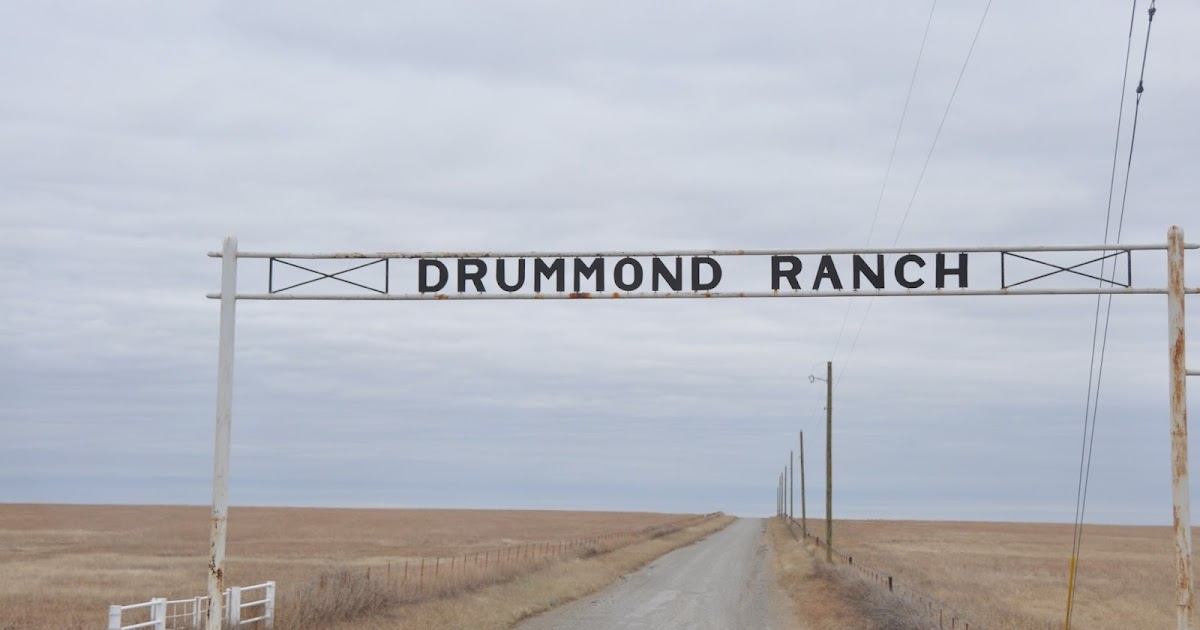 Susan's Blog Picture a Day The Drummond Ranch