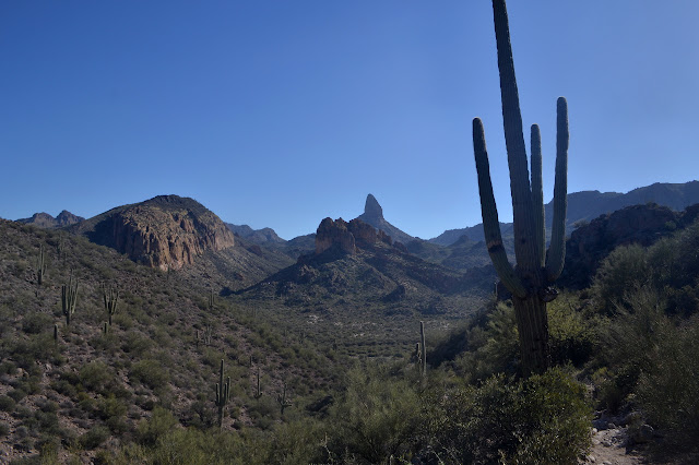 Black Top Mesa and Palomino Mountain