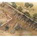 Tempio di Giunone, dal 16 settembre la mostra archeologica "La via dei sepolcri. Agrigento nella prima età cristiana"