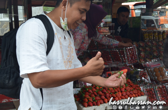 Strawberry Kawah Putih Ciwidey Strawberry Kawah Putih Ciwidey