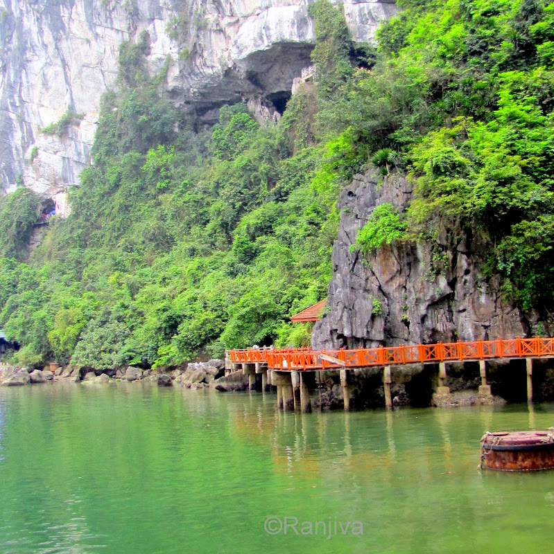 La Baie d'Along et ses rivages Paysages et Fleurs au fil de l'eau