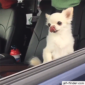 -Faes1cQmNgU/W7ouL6kl7LI/AAAAAAAABzw/8wV7jRlu3NAdhcFe7vRHnvGl9vAJb2sNwCLcBGAs/s1600/df3412s.gif