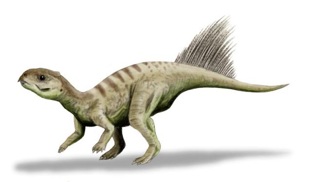 10 Dinosaurus yang Ukurannya imut dan menggemaskan