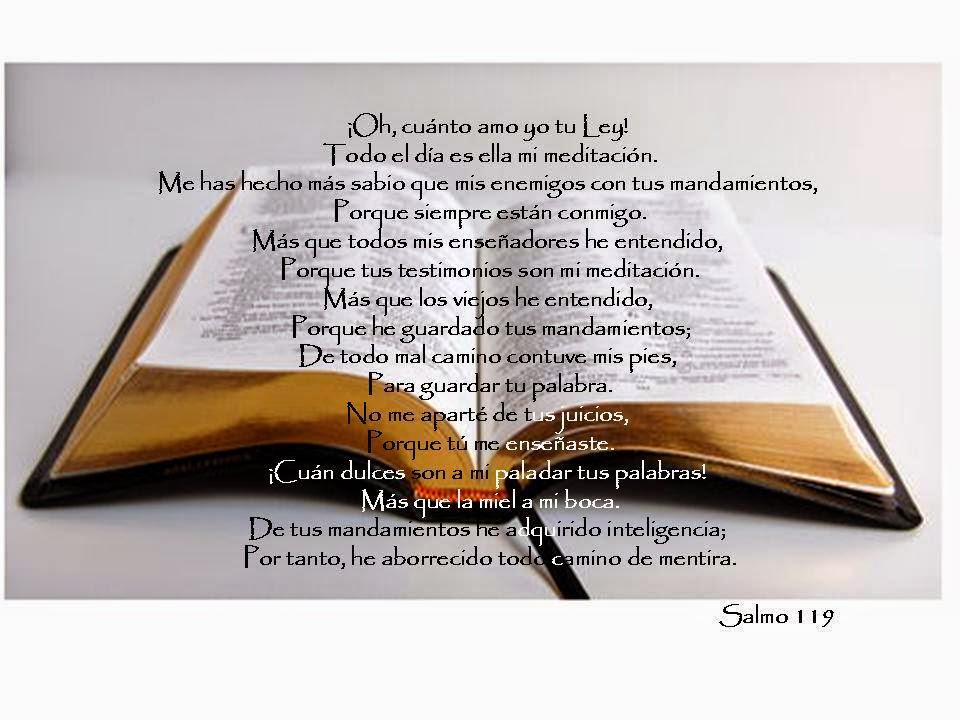 Aprendiendo la Sana Doctrina LEER LA BIBLIA ¿OPCIÓN O MANDATO?